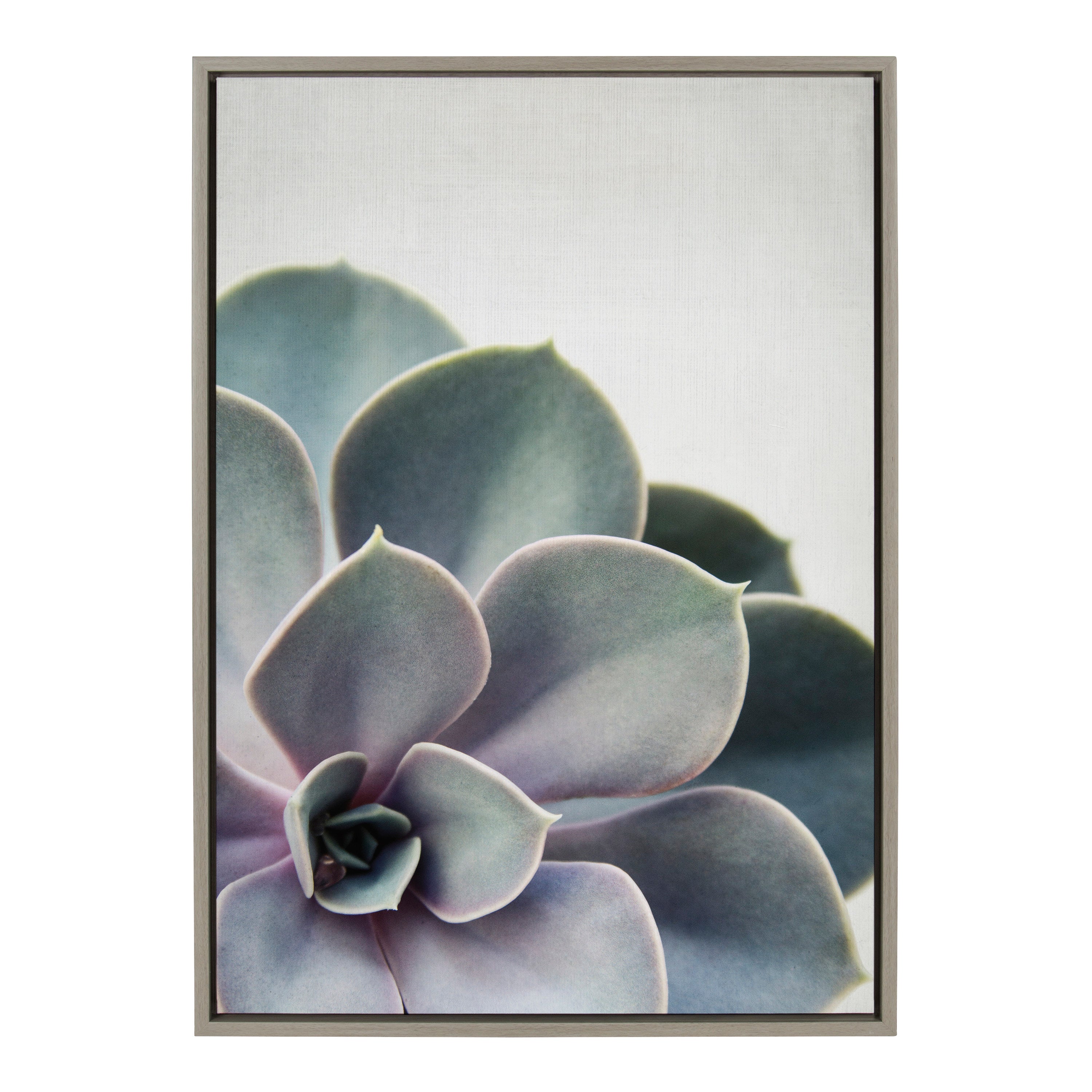 Sylvie Succulent 5 Framed Canvas by F2 Images by kateandlaurel - product image 18 for Resin Society