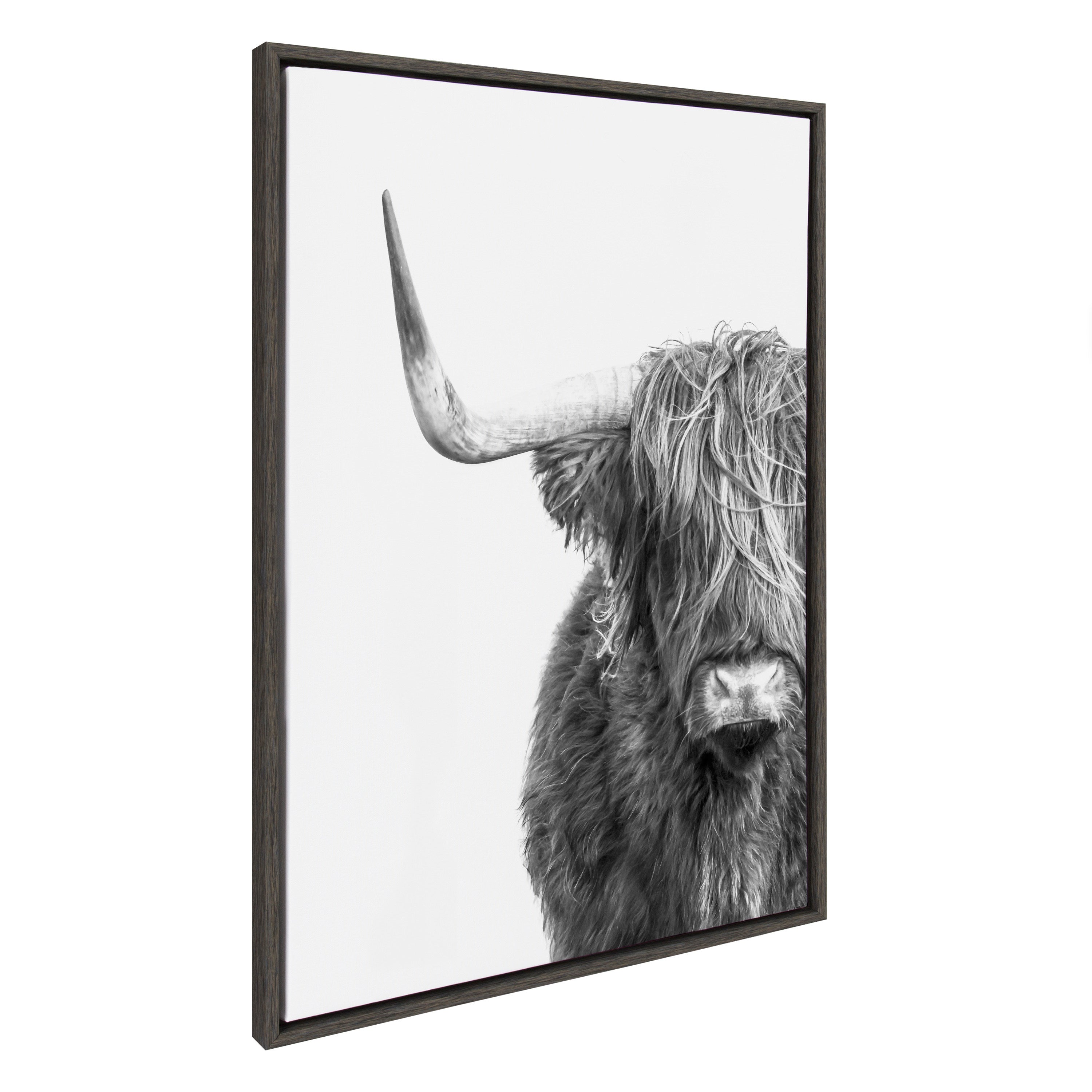 Sylvie B&W Highland Cow No. 1 Framed Canvas by Amy Peterson Art Studio