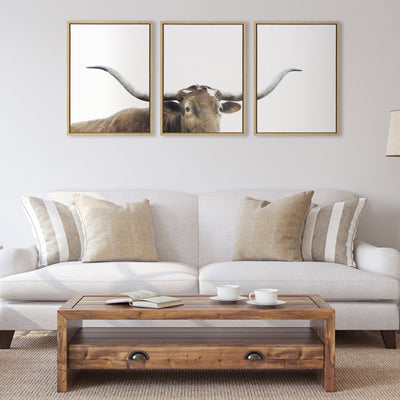 Sylvie Texas Longhorn 1 2 3 Framed Canvas by kateandlaurel - product image 5 for Resin Society