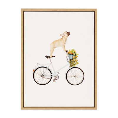 Framed canvas art of a French Bulldog riding a bicycle by Amy Peterson Art Studio