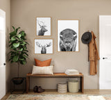 Three black and white animal portraits—a stag in profile, a moose head, and a bison face—framed and hung on a beige wall above a wooden bench with pillows and baskets below.