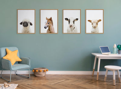 Sylvie Animal Studio Baby Horse Framed Canvas by Amy Peterson Art Studio