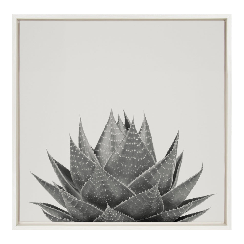 Sylvie Haze Aloe Succulent Framed Canvas by The Creative Bunch Studio by kateandlaurel - main product image for Resin Society