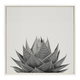Sylvie Haze Aloe Succulent Framed Canvas by The Creative Bunch Studio by kateandlaurel - main product image for Resin Society