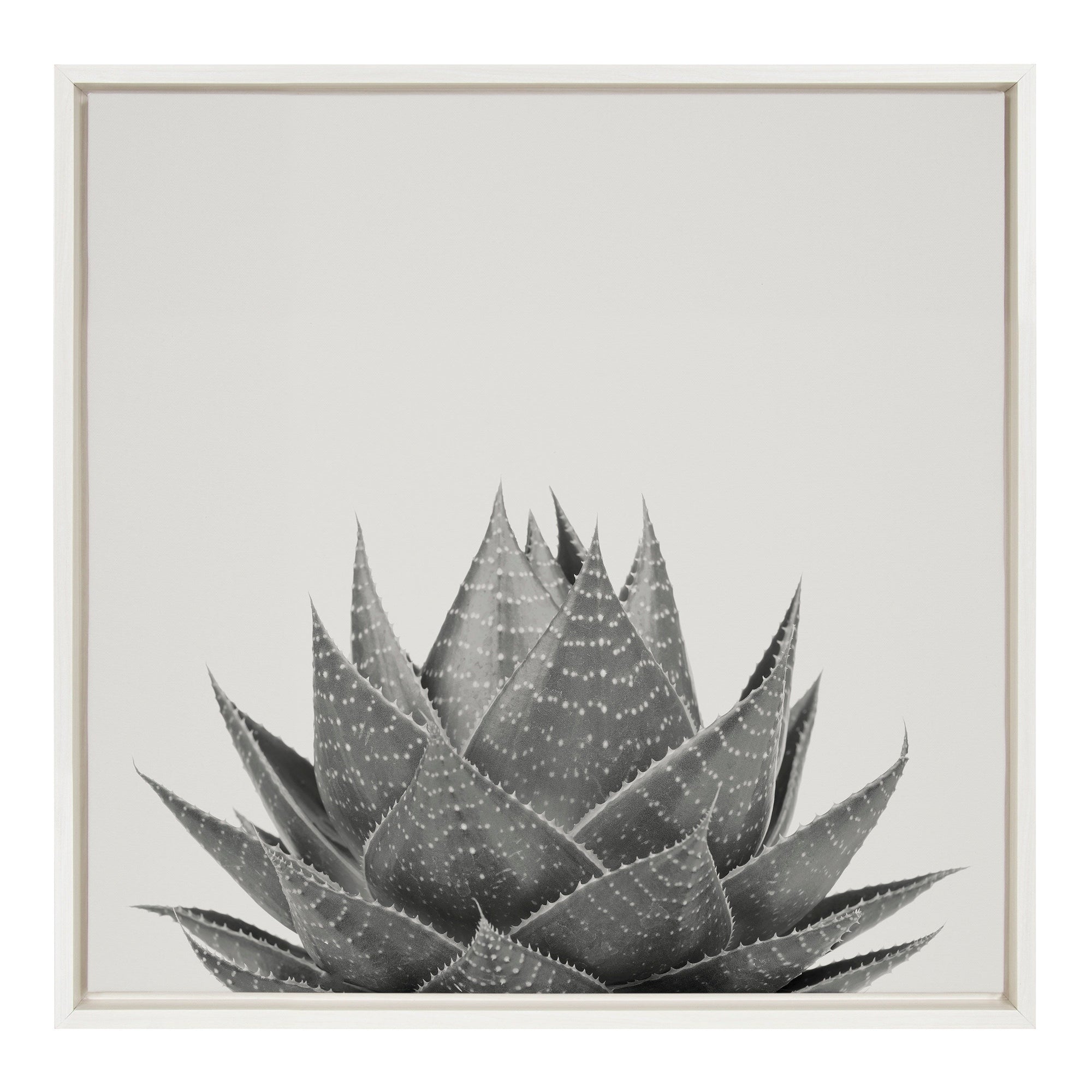 Sylvie Haze Aloe Succulent Framed Canvas by The Creative Bunch Studio by kateandlaurel - main product image for Resin Society