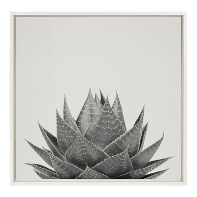 Sylvie Haze Aloe Succulent Framed Canvas by The Creative Bunch Studio by kateandlaurel - main product image for Resin Society