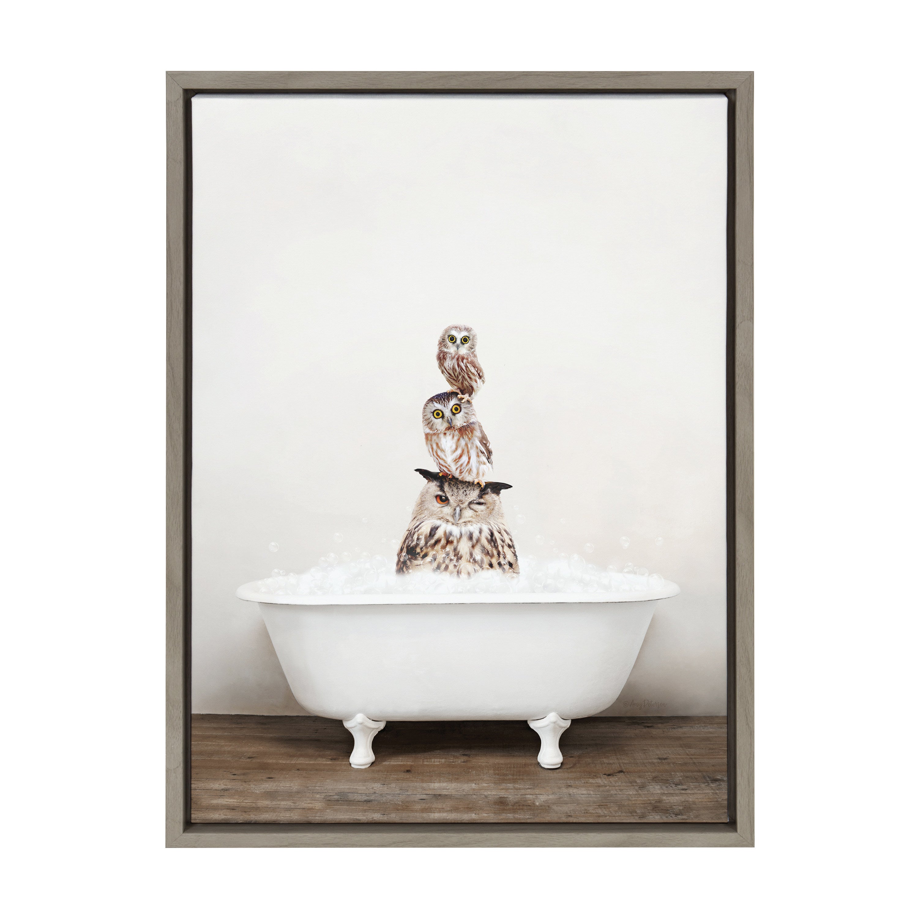 Sylvie Stacked Owls in Rustic Bath Framed Canvas by kateandlaurel - product image 14 for Resin Society