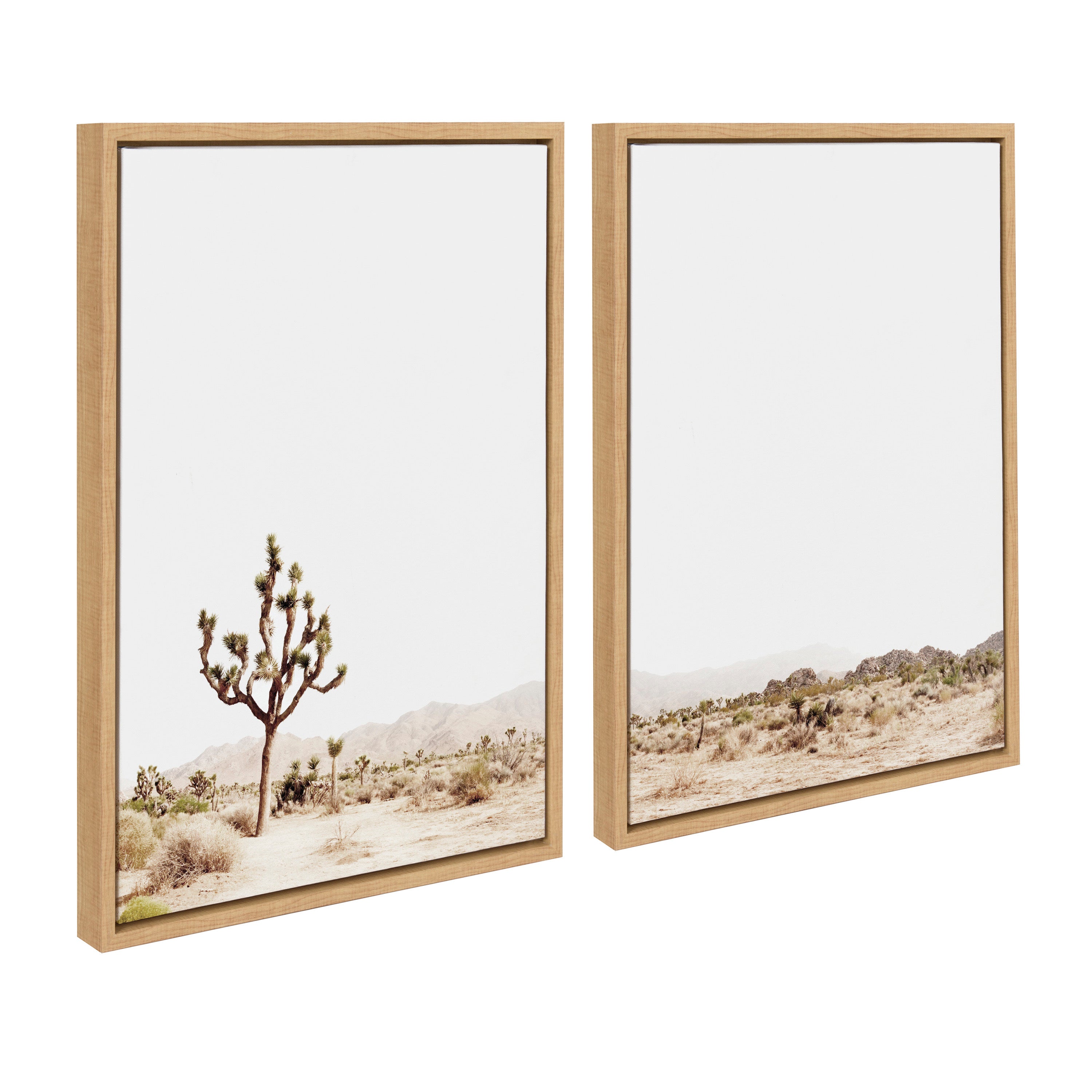 Sylvie Lone Joshua Tree Framed Canvas by Amy Peterson Art Studio by kateandlaurel - product image 16 for Resin Society