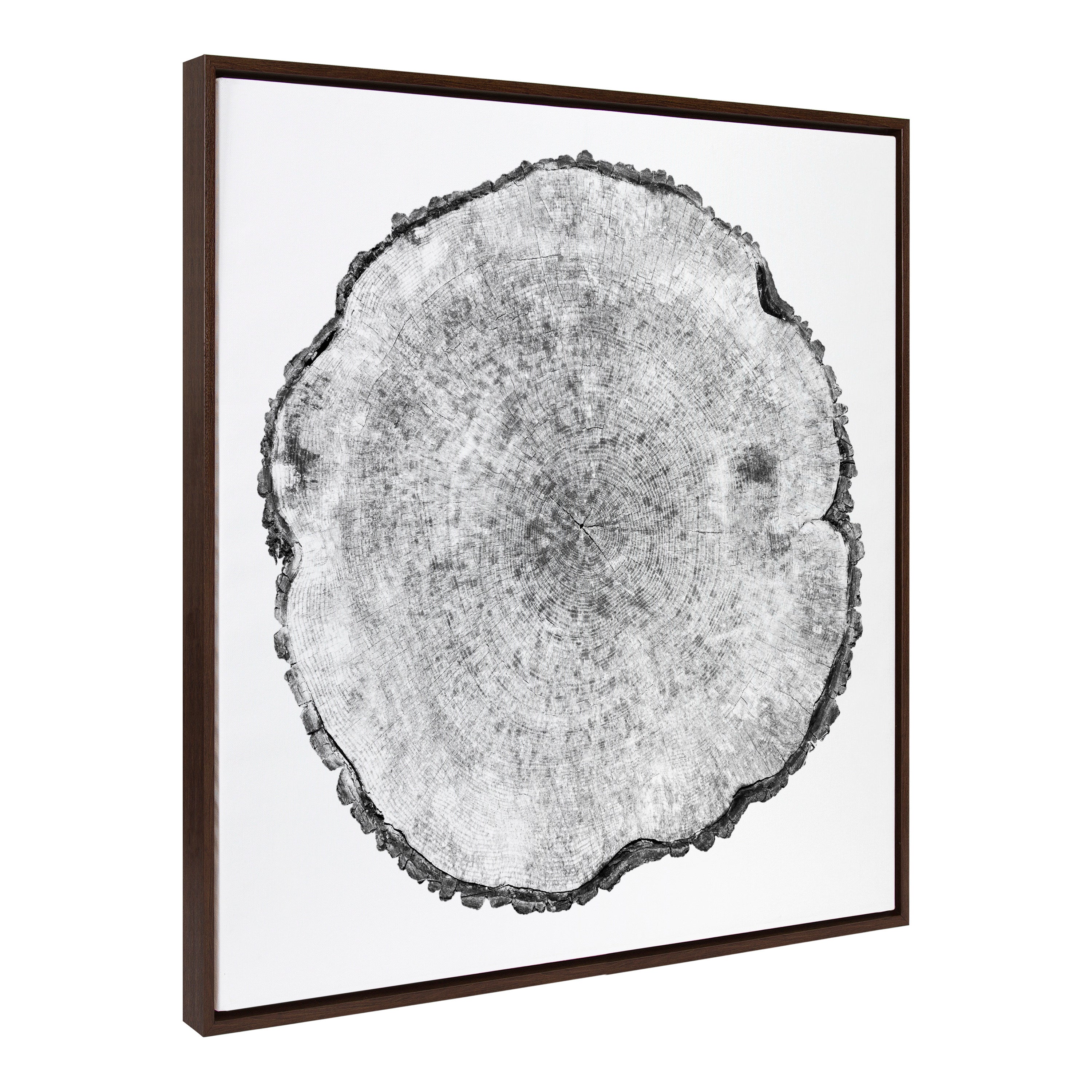 Sylvie Tree Rings Framed Canvas by kateandlaurel - product image 8 for Resin Society