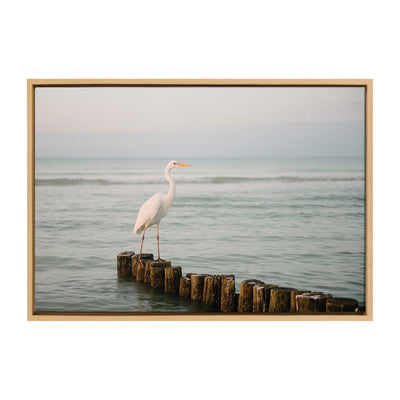 Sylvie Great White Heron Isla Holbox Framed Canvas by Crystal Lynn Collins