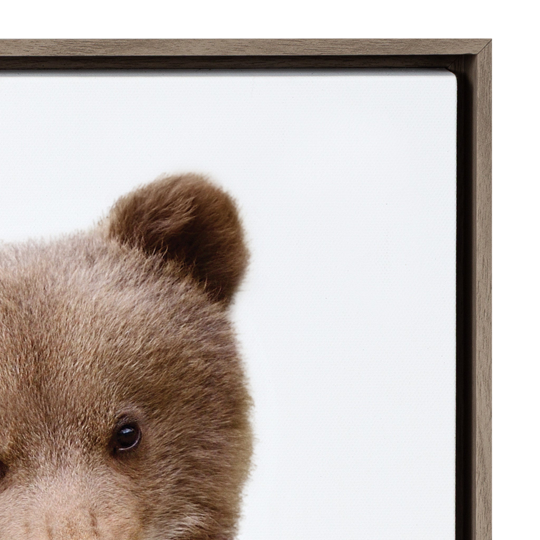 Sylvie Woodland Animal Framed Canvas Art Set by Amy Peterson by kateandlaurel - product image 3 for Resin Society