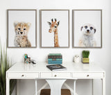 Sylvie Meerkat Framed Canvas by Amy Peterson by kateandlaurel - product image 6 for Resin Society