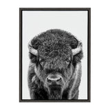 Black and white frontal portrait of a bison with dense fur and curved horns on a white background, framed in a simple black frame.