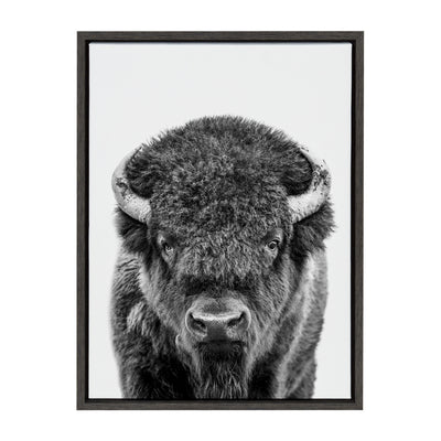 Sylvie Bison Portrait Black and White Framed Canvas by Amy Peterson Art Studio