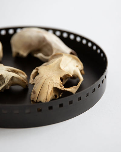 Josef Tray by Remains Lighting Co. - product image 14 for Resin Society