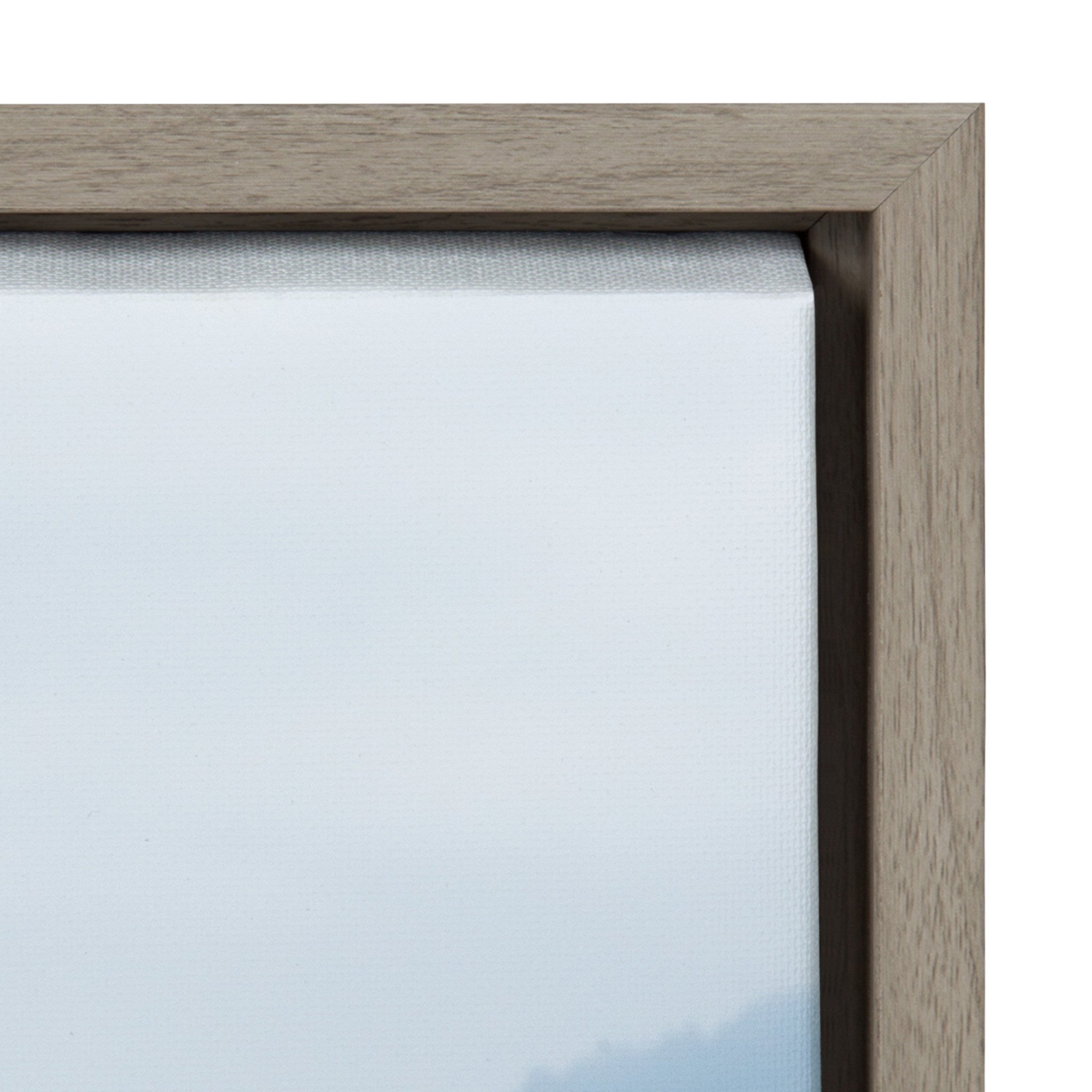 Sylvie Arrival Framed Canvas By Pete Olsen, Gray 23x33 by kateandlaurel - product image 3 for Resin Society