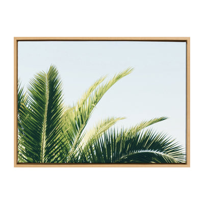 Sylvie Tropical Palm Under Blue Sky Framed Canvas by kateandlaurel - main product image for Resin Society
