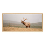 Sylvie Tule Elk No 3 Framed Canvas by kateandlaurel - product image 2 for Resin Society