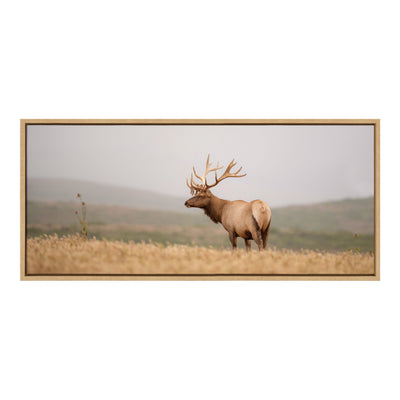 Sylvie Tule Elk No 3 Framed Canvas by kateandlaurel - product image 2 for Resin Society