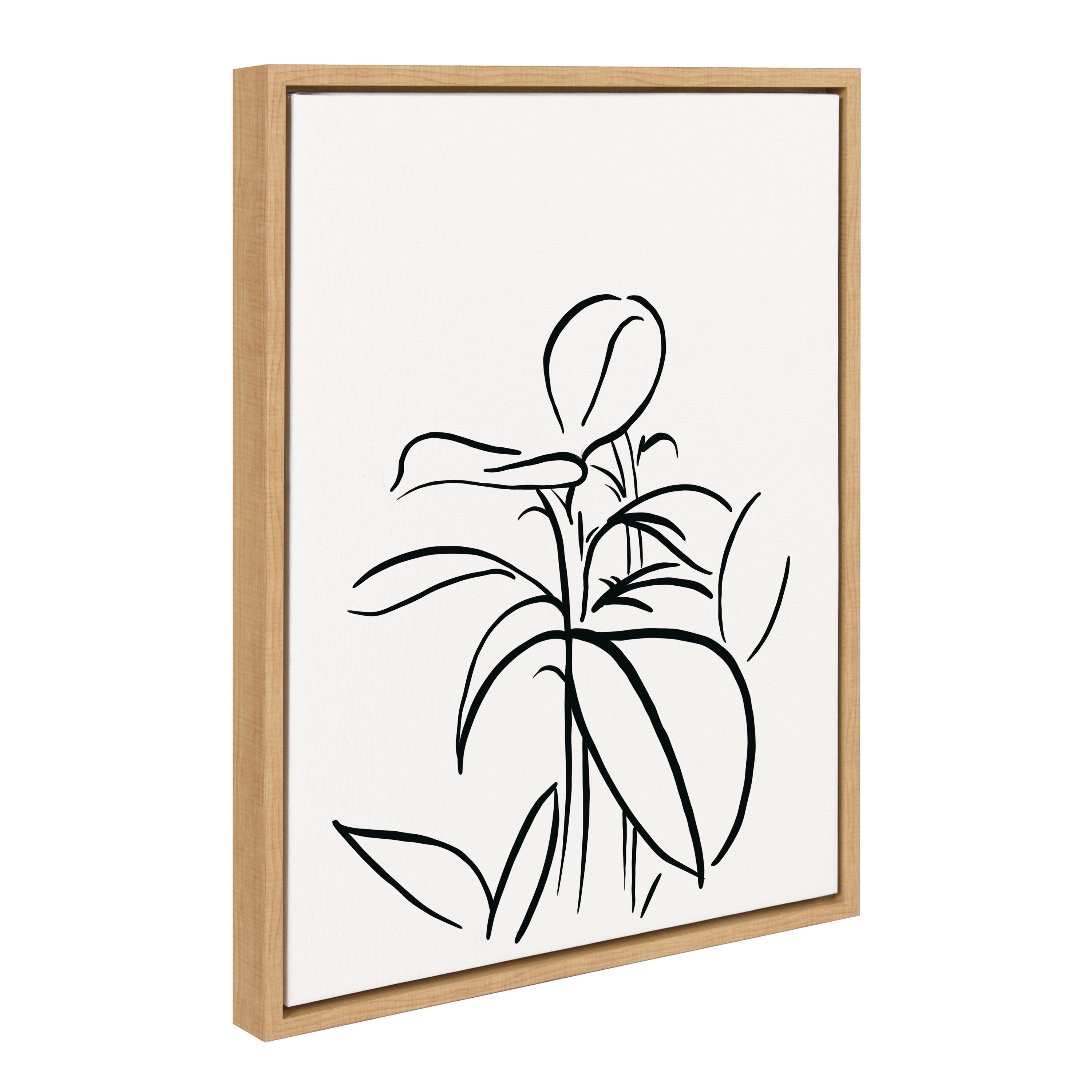 Sylvie Botanical Sketch Print No 1 Framed Canvas by The Creative Bunch