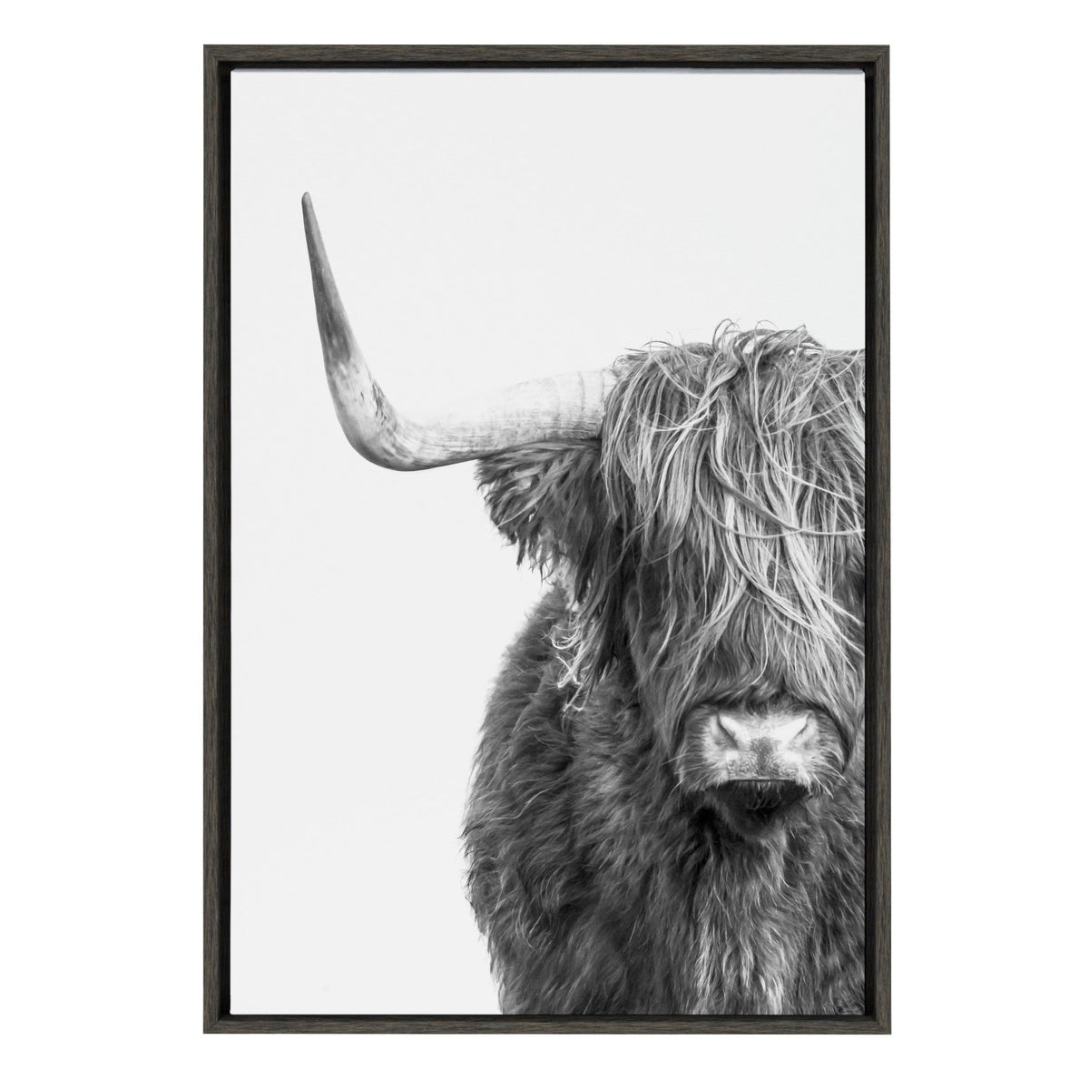 Sylvie Highland Cow Framed Canvas by kateandlaurel - main product image for Resin Society