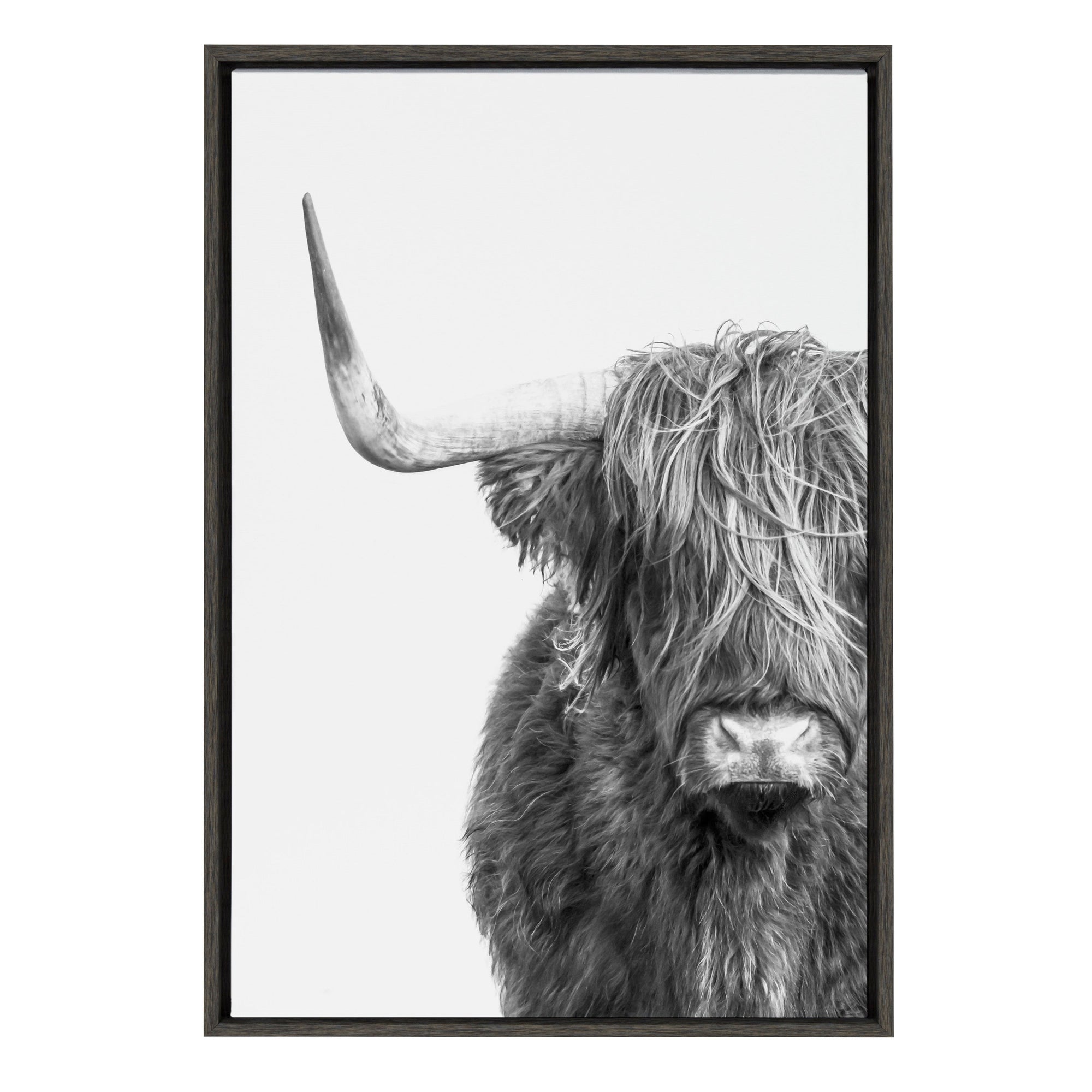Sylvie Highland Cow Framed Canvas by kateandlaurel - product image 11 for Resin Society