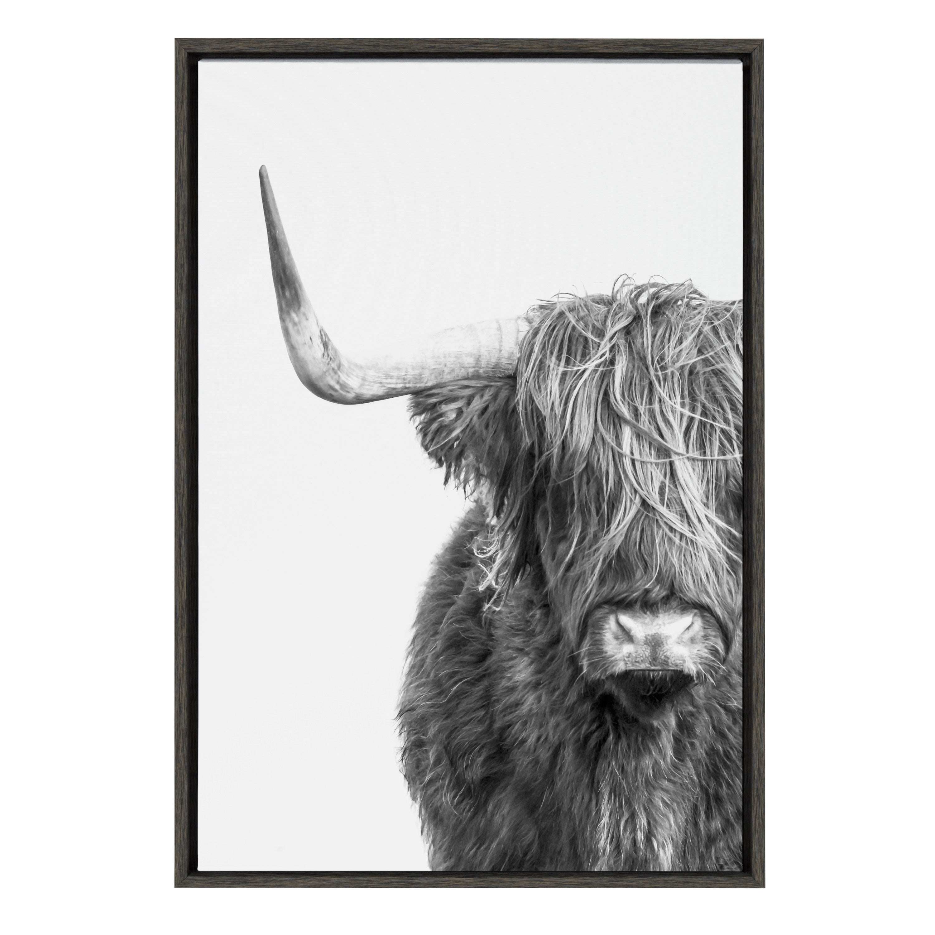 Sylvie Highland Cow Framed Canvas by kateandlaurel - product image 11 for Resin Society