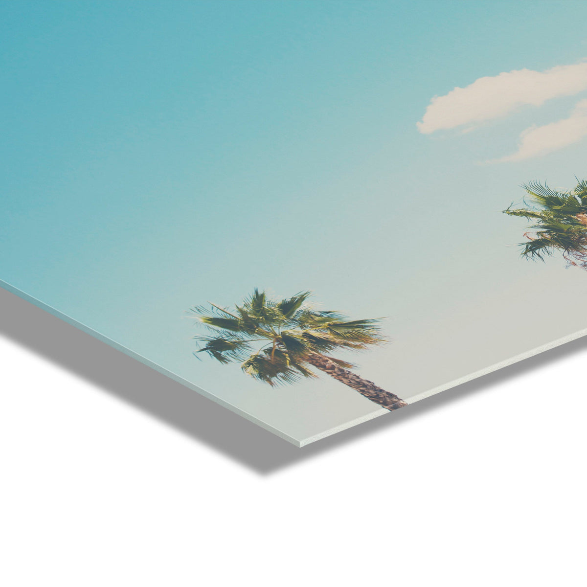 A Trio Of Palm Trees Floating Acrylic Art by kateandlaurel - product image 3 for Resin Society
