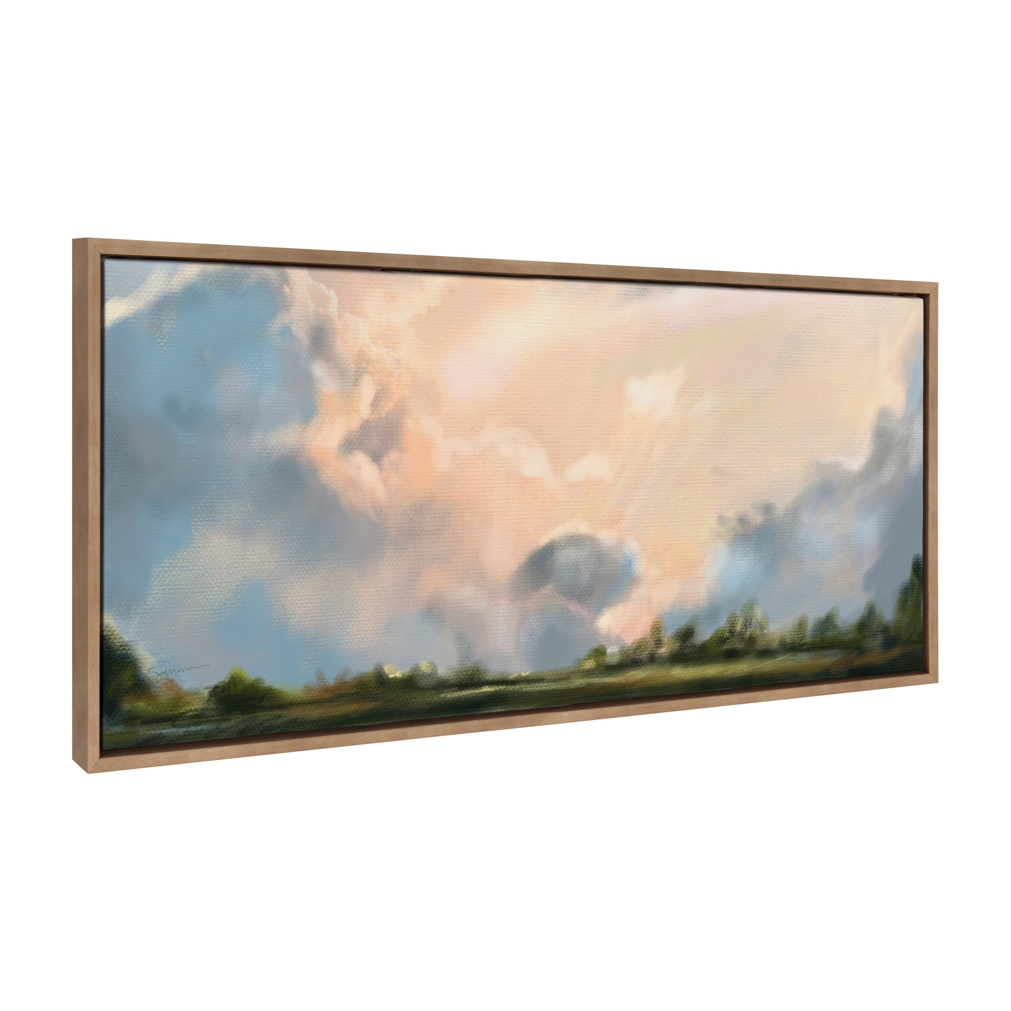 Sylvie Clouds Framed Canvas by kateandlaurel - product image 6 for Resin Society