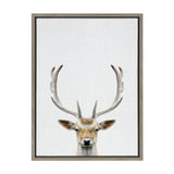 Framed canvas print of a realistic deer head with large antlers centered on a white textured background.