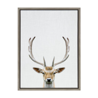 Sylvie Deer Color Framed Canvas by Simon Te of Tai Prints