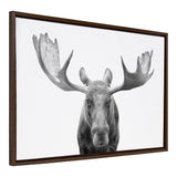 Sylvie Moose black and white animal art printed on canvas and framed in a natural colored frame