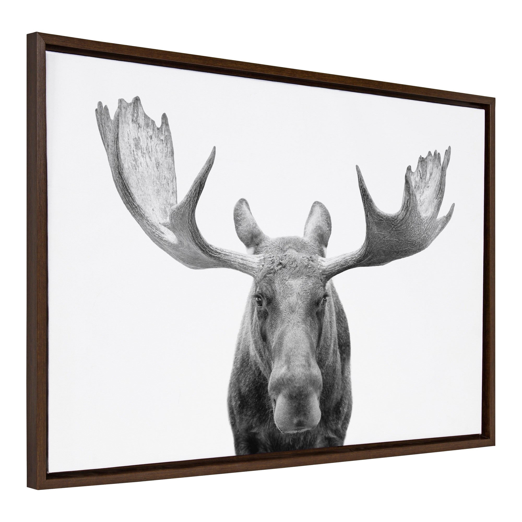 Sylvie Moose black and white animal art printed on canvas and framed in a natural colored frame