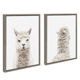 Two framed canvas prints side by side, one showing a white alpaca facing forward with curly fur and alert ears, the other showing the same alpaca's back with textured fleece visible
