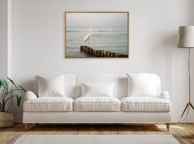 Sylvie Great White Heron Isla Holbox Framed Canvas by Crystal Lynn Collins
