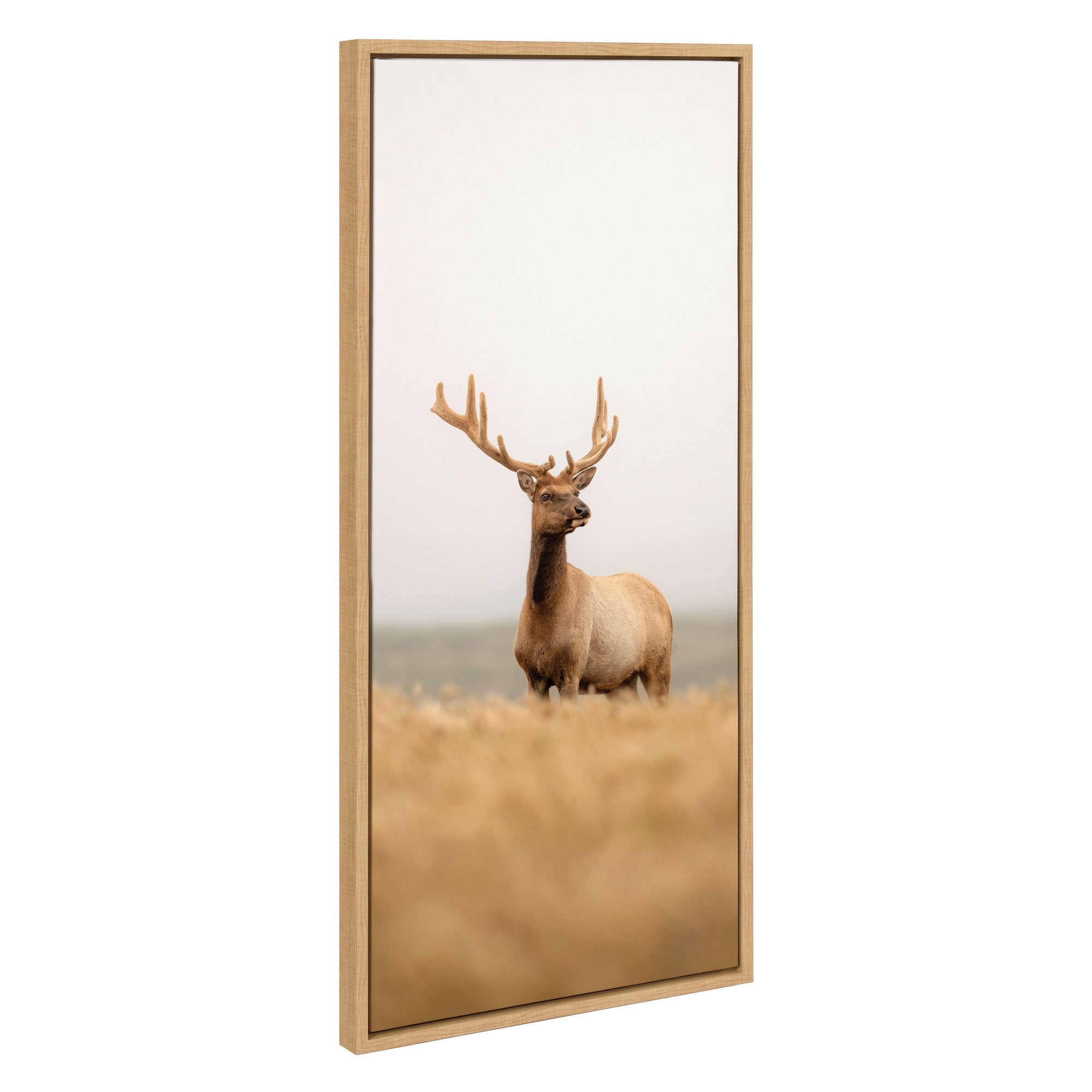 Sylvie Tule Elk No 6 Framed Canvas by kateandlaurel - main product image for Resin Society