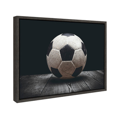 Sylvie Soccer Ball Framed Canvas by kateandlaurel - product image 2 for Resin Society