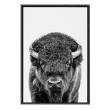 Black and white close-up portrait of a bison facing forward with textured fur and curved horns, centered in a thin dark frame on a white background.