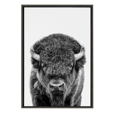 Sylvie Bison Portrait Black and White Framed Canvas by Amy Peterson Art Studio