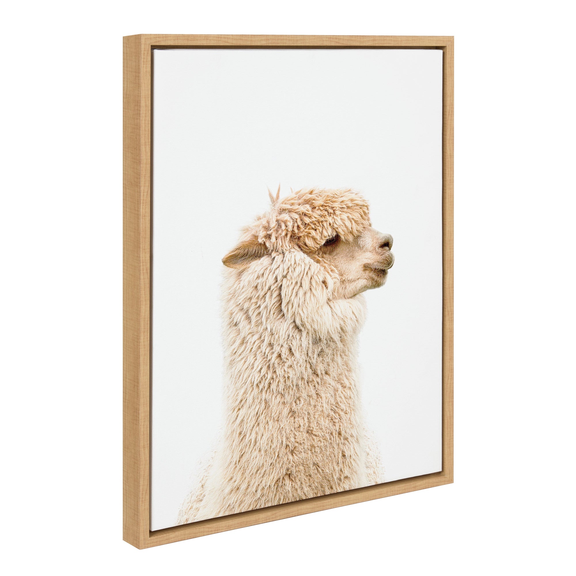 Framed canvas art featuring a golden alpaca profile on a natural background