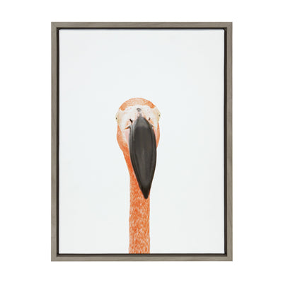 Sylvie Flamingo Portrait Framed Canvas by Amy Peterson Art Studio