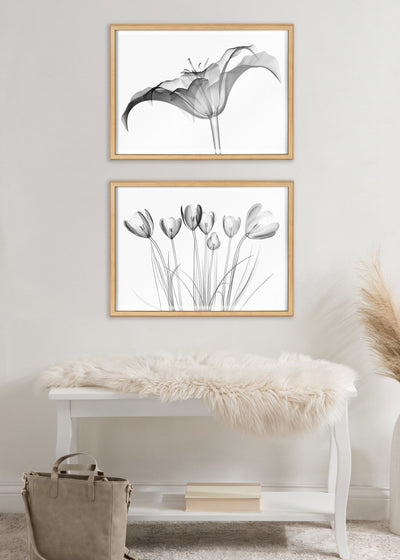 Blake Lily X Ray Floral BW Framed Printed Art by The Creative Bunch Studio