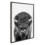 Black and white portrait of a bison on a framed floating canvas printed by Amy Peterson Art Studio