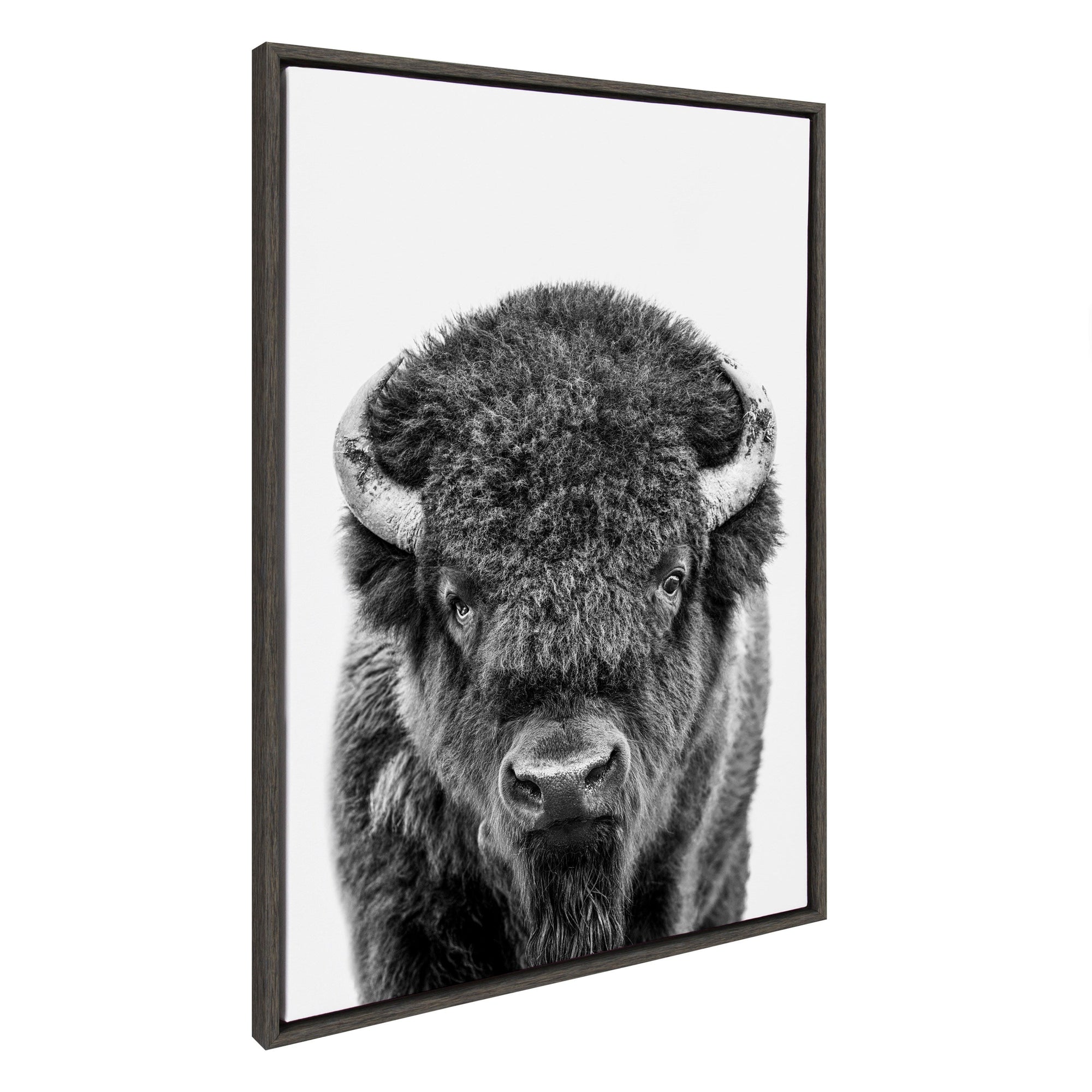 Black and white portrait of a bison on a framed floating canvas printed by Amy Peterson Art Studio