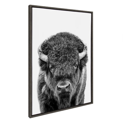 Black and white portrait of a bison on a framed floating canvas printed by Amy Peterson Art Studio