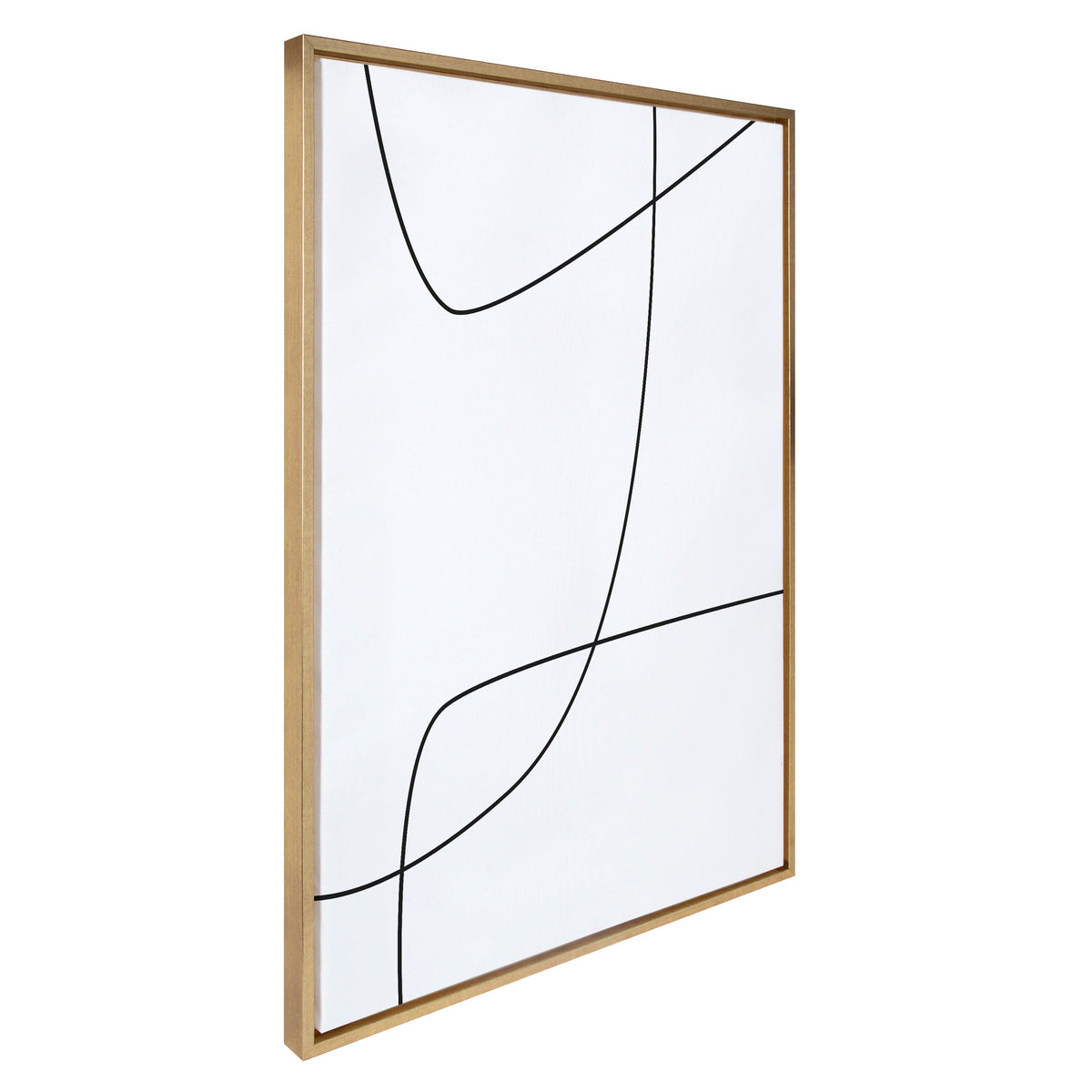 Sylvie Modern Line Abstract 3 BW Framed Canvas by kateandlaurel - product image 2 for Resin Society
