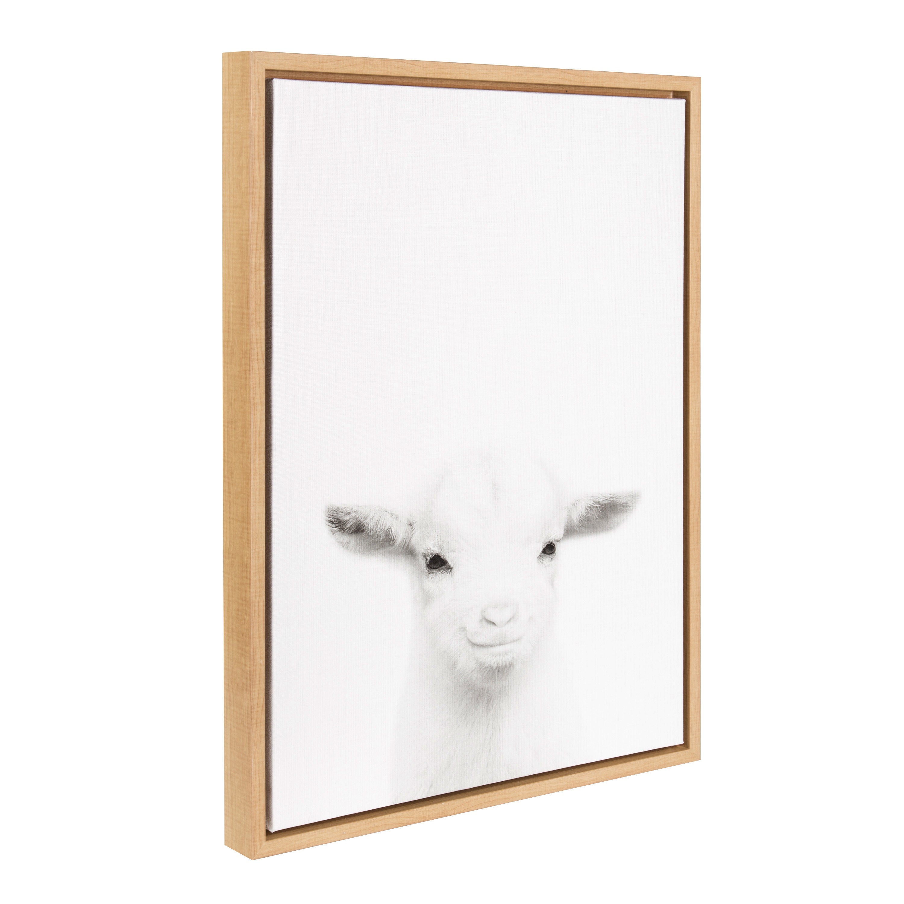 Sylvie Baby Goat Framed Canvas by Simon Te Tai by kateandlaurel - product image 15 for Resin Society
