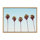 Sylvie Five Palms Framed Canvas by Simon Te by kateandlaurel - product image 8 for Resin Society