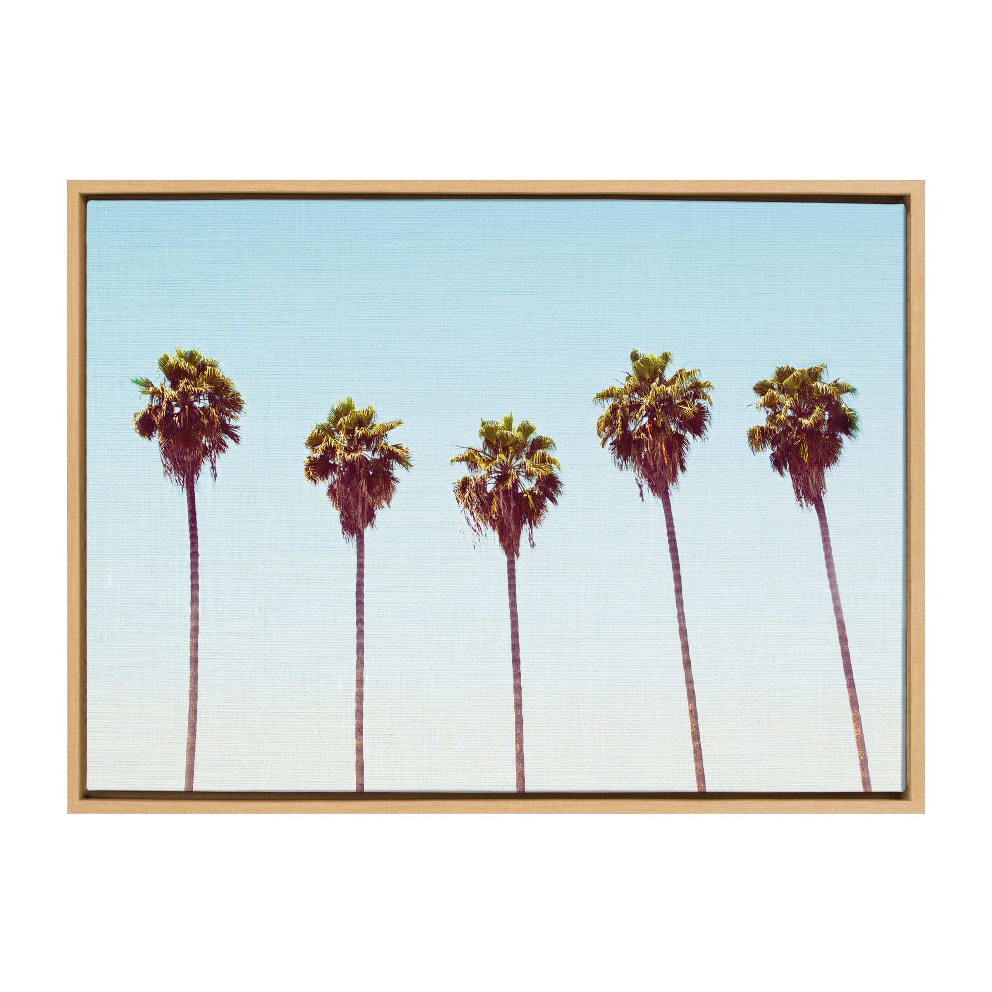 Sylvie Five Palms Framed Canvas by Simon Te by kateandlaurel - product image 8 for Resin Society
