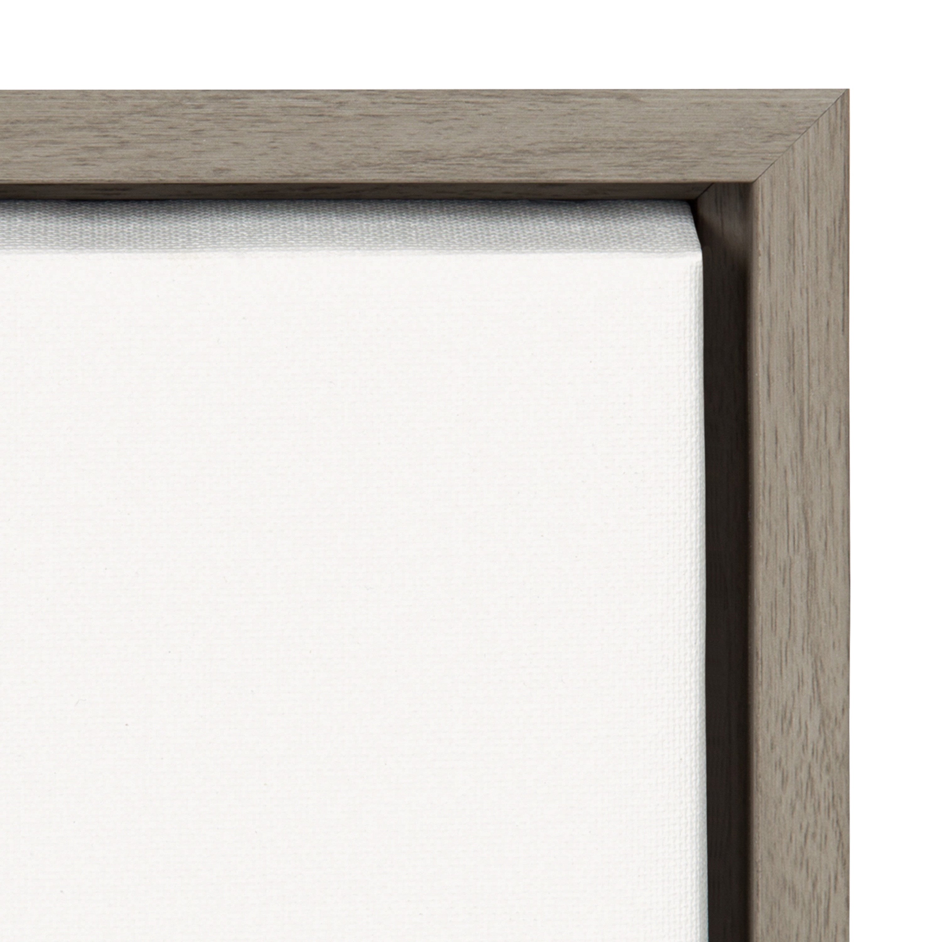 Sylvie Botanical Sketch Print No 1 Framed Canvas by The Creative Bunch